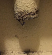 Spring Hill Dryer Vent Cleaning - Photo 9 - Car repair in Spring Hill, FL, Spring Hill