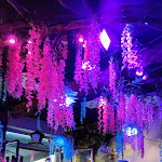 Photo n°3 de l'avis de luca.o fait le 29/04/2023 à 15:11 sur le  Il cappellaio matto à Milan