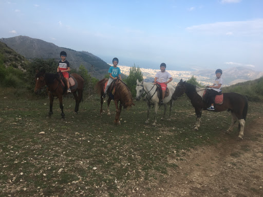 DOMUS DAMAE_Asd equitazione pioppo a Monreale