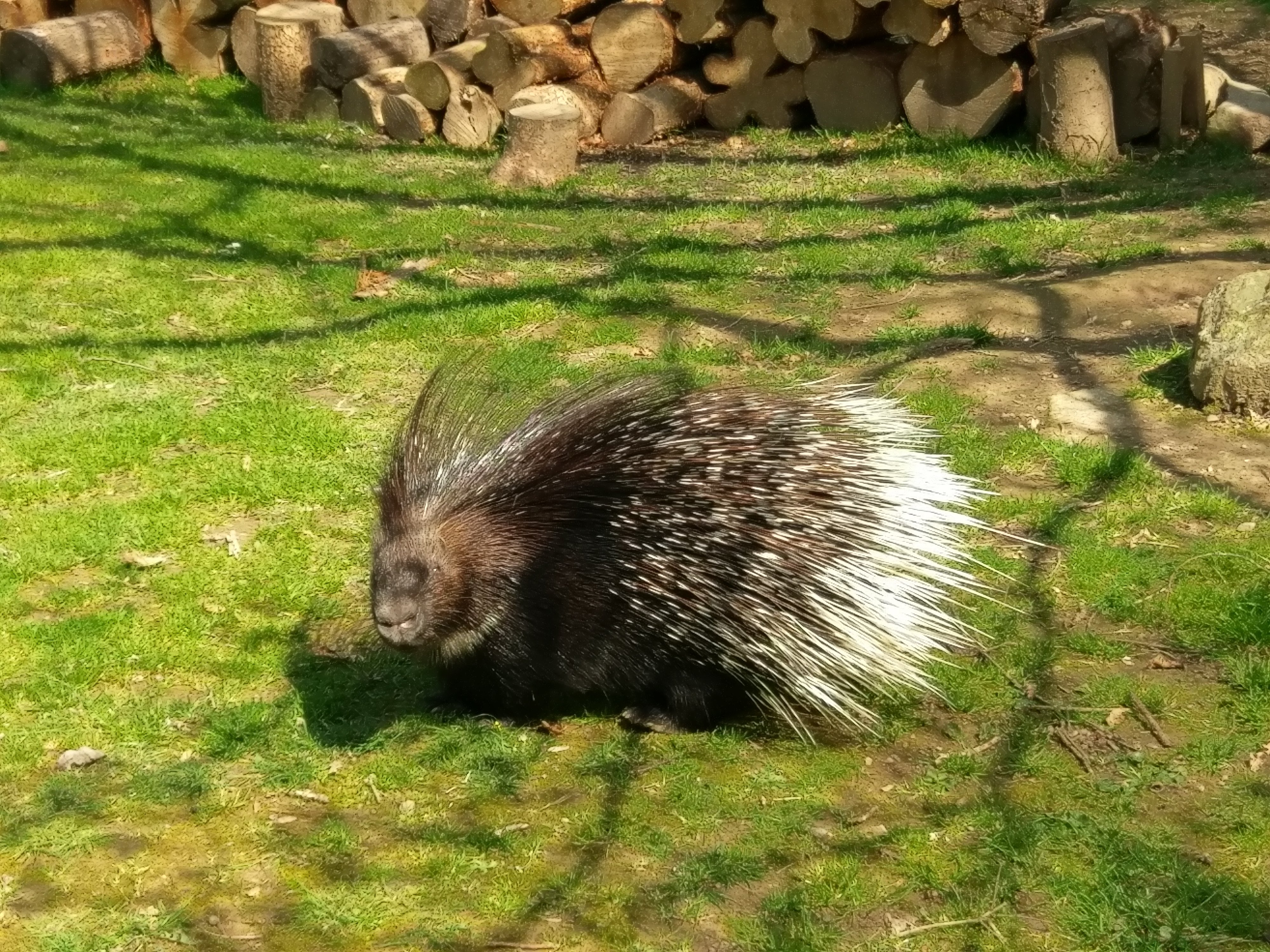 Photo n° 5 de l'avis de Dominique.A fait le 23/04/2019 à 22:31