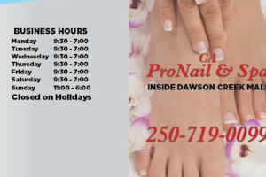 PRO NAIL SPA