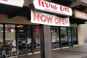 Flying Rice image
