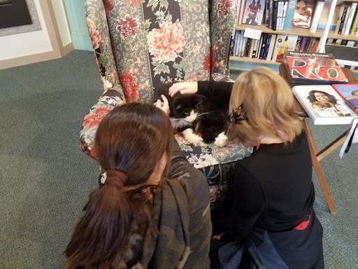 Book Store «Kazoo Books II», reviews and photos, 2413 Parkview Ave, Kalamazoo, MI 49008, USA