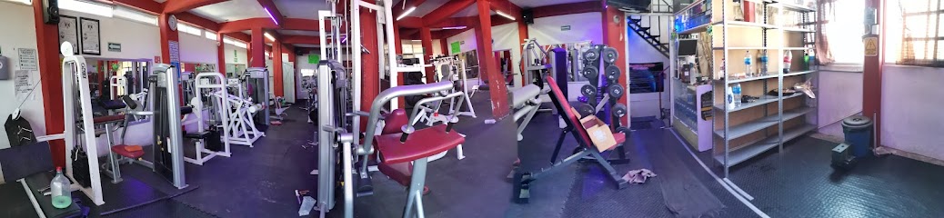 GIMNASIO TóNIC