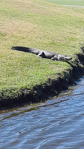 Golf Club «East Bay Golf Club», reviews and photos, 702 Country Club Dr, Largo, FL 33771, USA