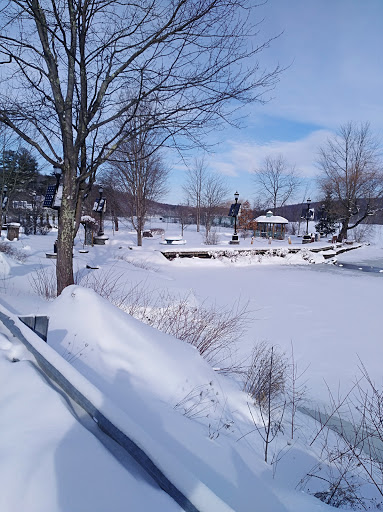 Grocery Store «Swan Lake Country Store», reviews and photos, 1658 Briscoe Rd, Swan Lake, NY 12783, USA