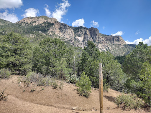 Three Guns Spring Trailhead