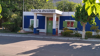 Plaza principal de Anguinán