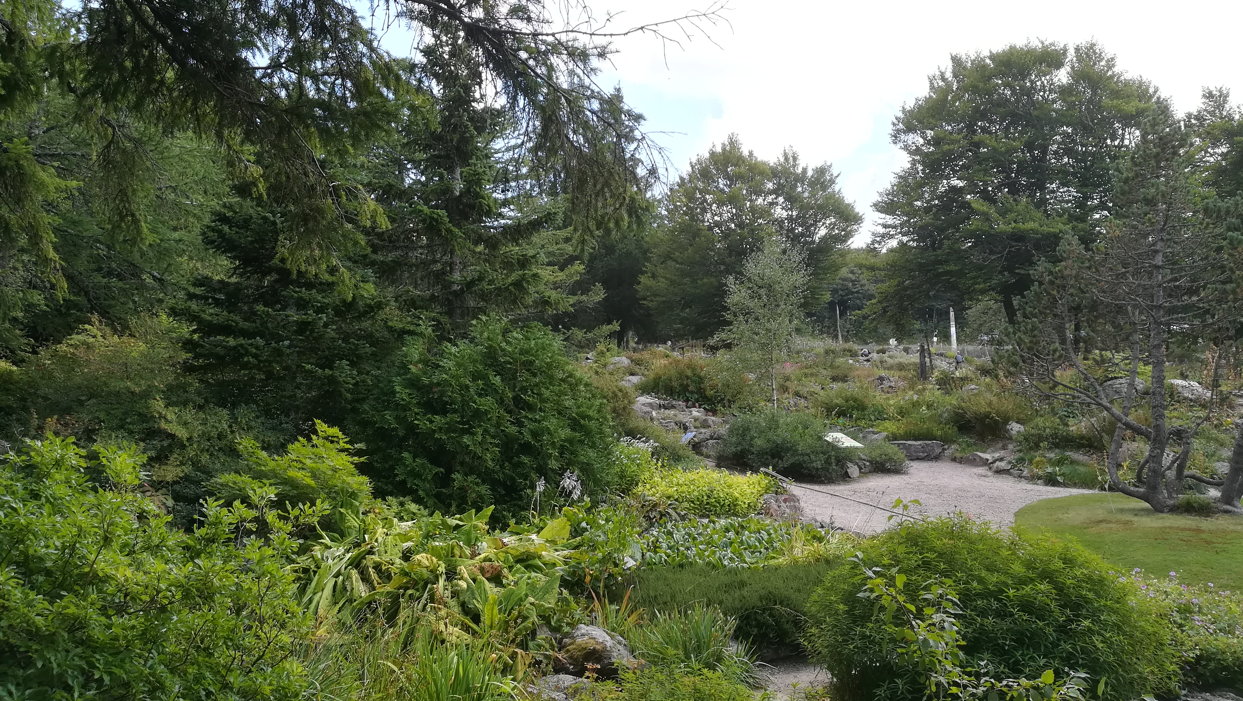 Photo n° 6 de l'avis de henrich.i fait le 27/08/2018 à 16:42