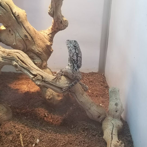 Pet Store «Animal Ark», reviews and photos, 175 S 500 E St, American Fork, UT 84003, USA