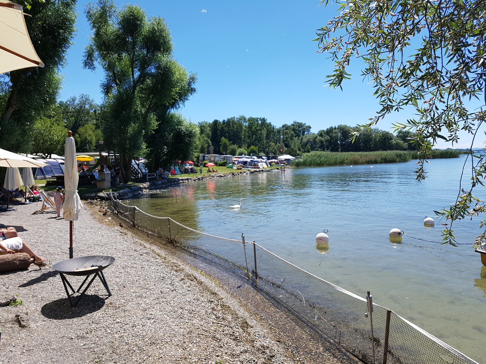 Fotografie cu Muntelier Plage cu o suprafață de iarbă