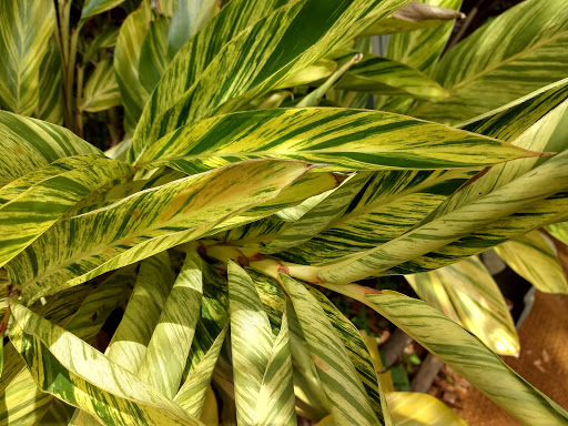 Thrift Store «OddBalls Nifty Thrift», reviews and photos, 530 NE 13th St, Fort Lauderdale, FL 33304, USA