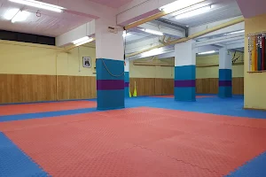 Escola S. Karate Portimão image