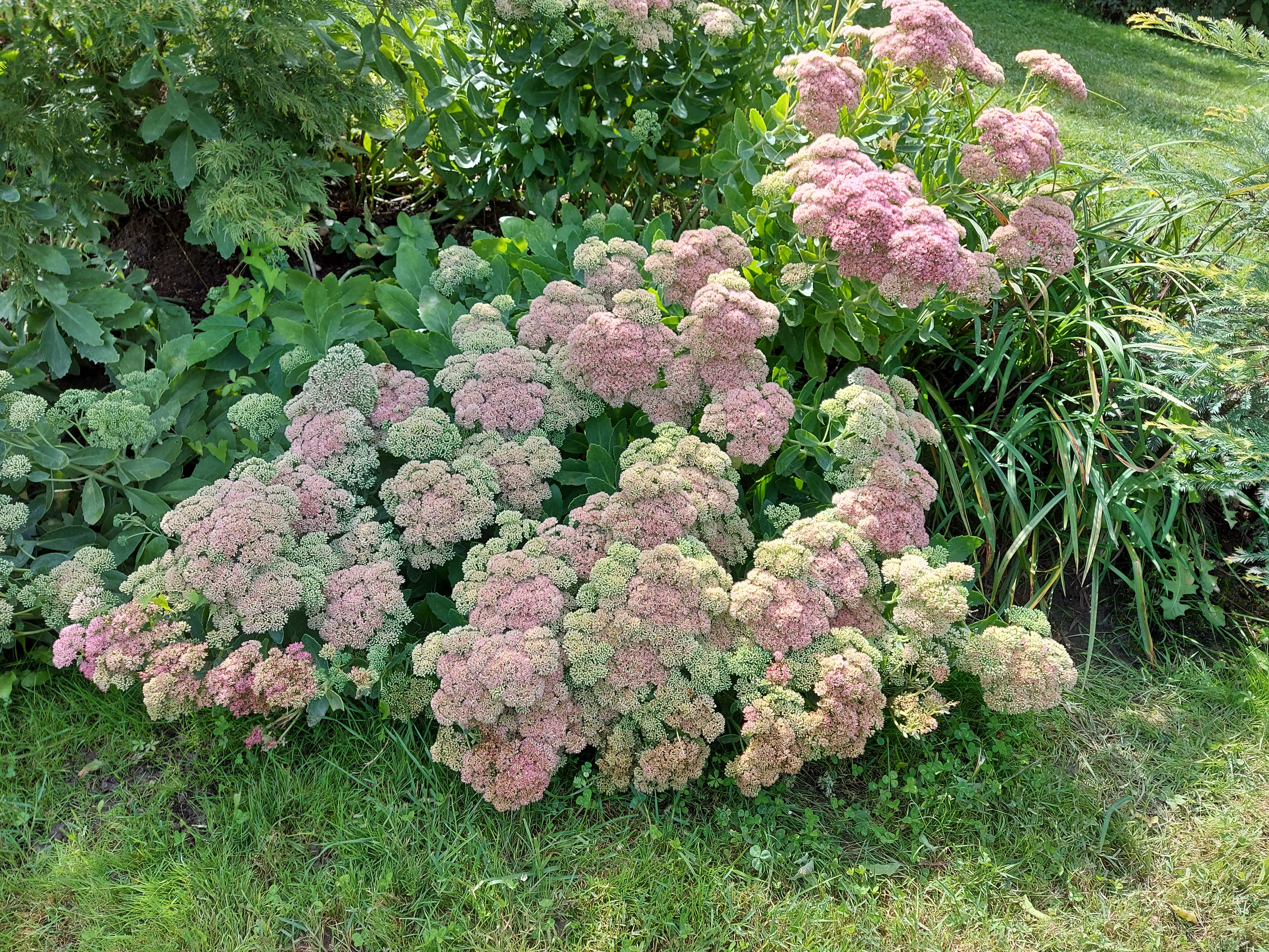 Photo n° 3 de l'avis de Brigitte.o fait le 02/09/2021 à 08:01