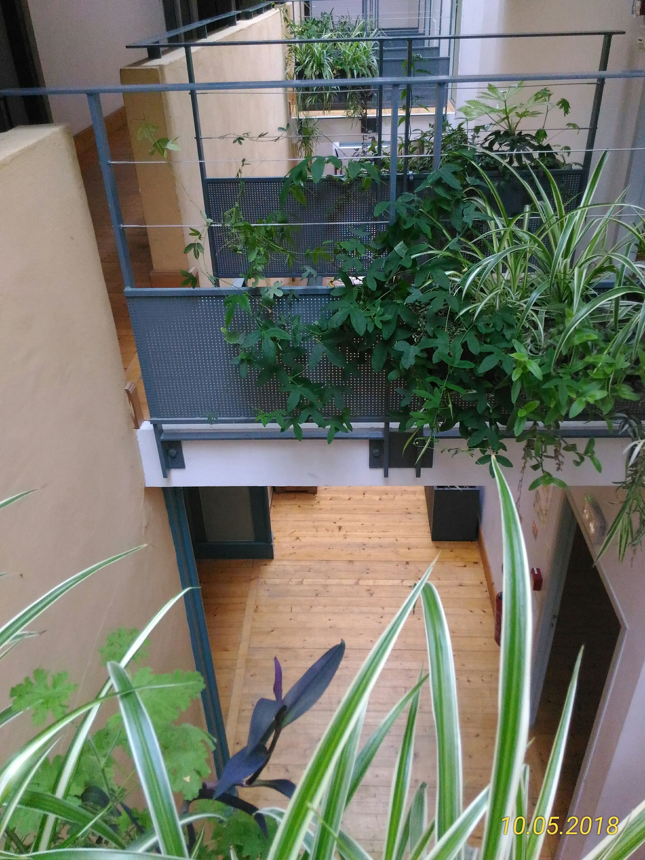 Photo n° 26 de l'avis de Marie.a fait le 13/05/2018 à 06:32