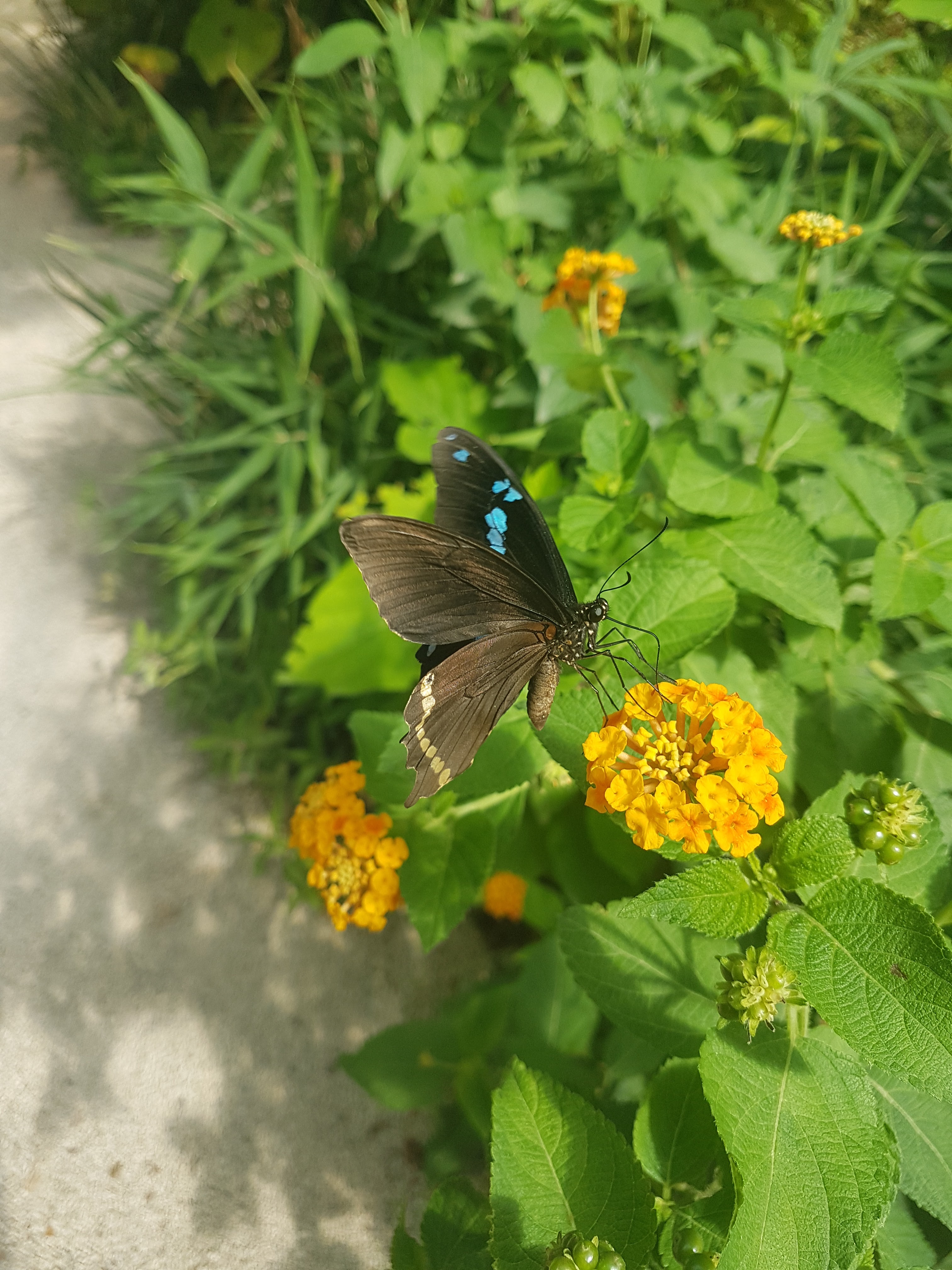 Photo n° 3 de l'avis de Ophélie.a fait le 10/08/2019 à 11:27