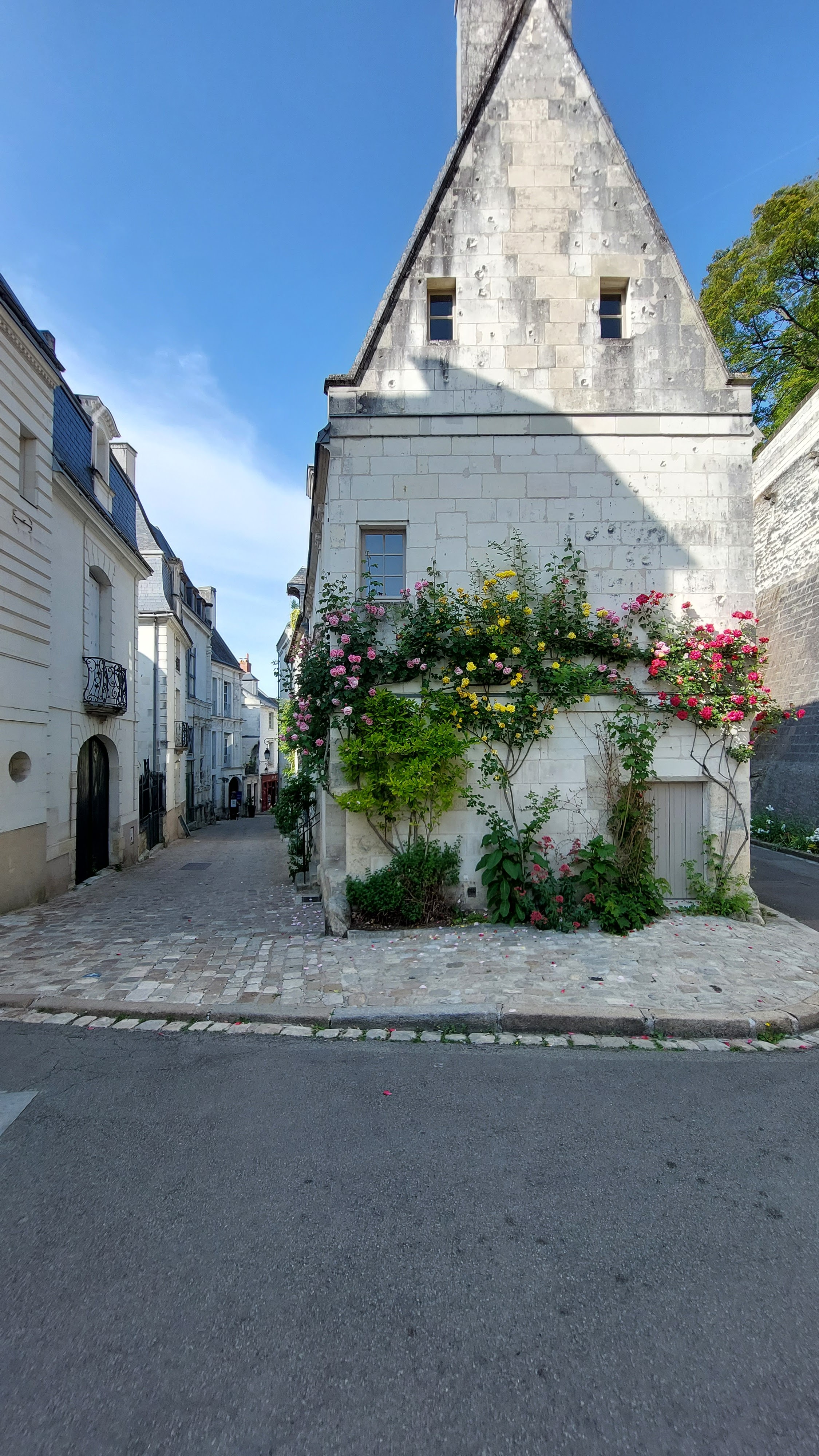 Photo n° 7 de l'avis de JC.. fait le 24/05/2023 à 06:17