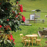 Photo n°5 de l'avis de Matteo.a fait le 14/06/2020 à 21:22 sur le  Agriturismo Le Radici à Blessagno