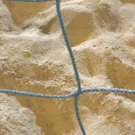 Photo n°6 de l'avis de Andre.l fait le 19/06/2019 à 07:17 sur le  Central Park Resort à Grugliasco