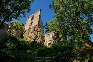 Castle of Dobrá Voda image