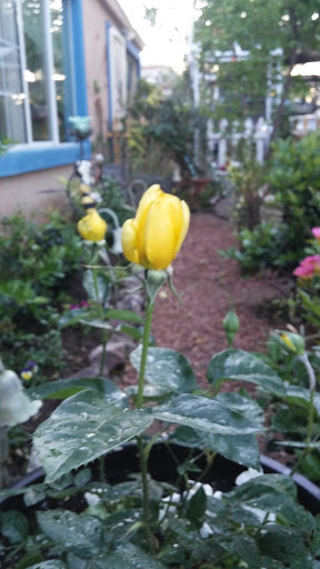 Banquet Hall «Lawlor Events Center», reviews and photos, 1664 N Virginia St, Reno, NV 89557, USA