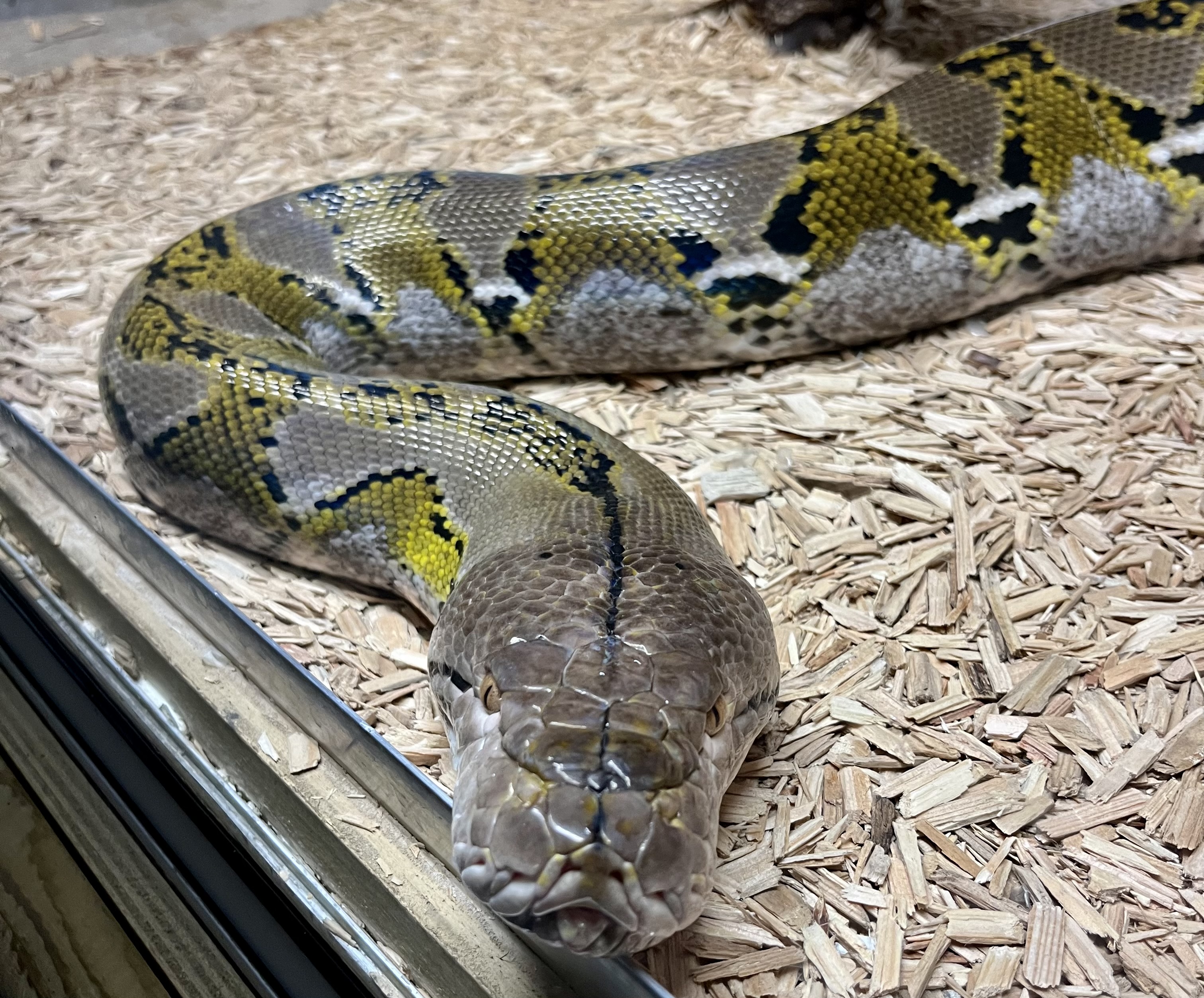 Photo n° 7 de l'avis de Elisa.i fait le 04/11/2023 à 18:33