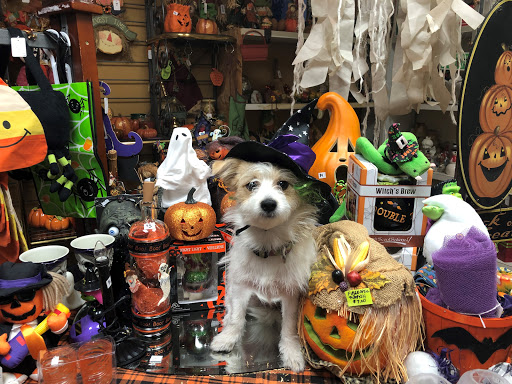 Thrift Store «Hope Chest Thrift Store», reviews and photos, 1215 8th Ave W, Bradenton, FL 34205, USA