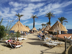Foto von Beach Le Palme befindet sich in natürlicher umgebung