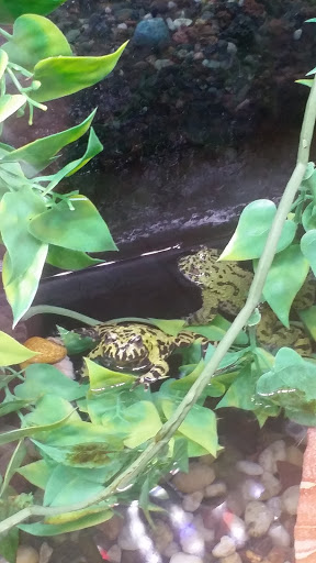 Pet Supply Store «Paws & Claws & Co», reviews and photos, 1801 E Market St, Warsaw, IN 46580, USA