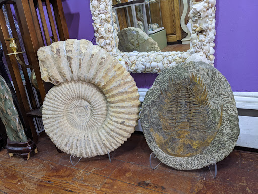 Jewelry Store «Exquisite Earth», reviews and photos, 126 S Main St, New Hope, PA 18938, USA