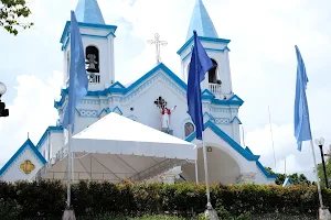 Archdiocesan Shrine of the Immaculate Heart of Mary image
