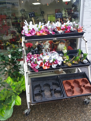 DEFOUR FLEURS à Firminy