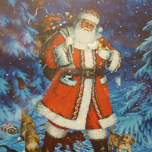 Florist «Always In Bloom Florist», reviews and photos, 872 17th St, Vero Beach, FL 32960, USA