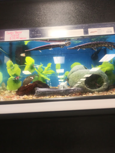 Pet Supply Store «Pet Valu Pet Store», reviews and photos, 2702 Smithville Rd, Dayton, OH 45420, USA