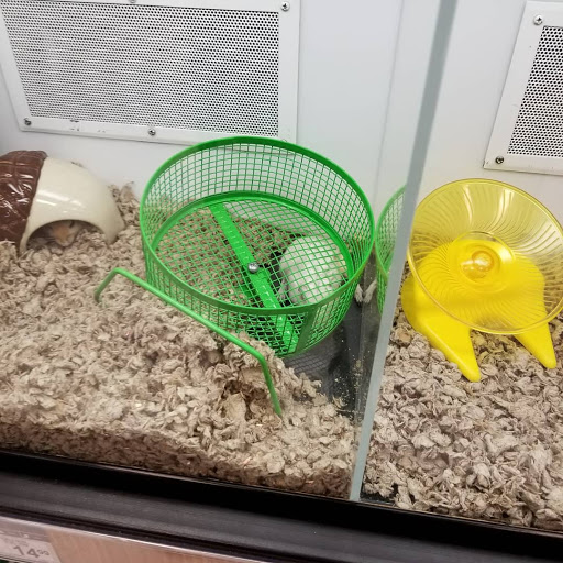 Pet Supply Store «Petco Animal Supplies», reviews and photos, 9078 SE Sunnyside Rd, Clackamas, OR 97015, USA