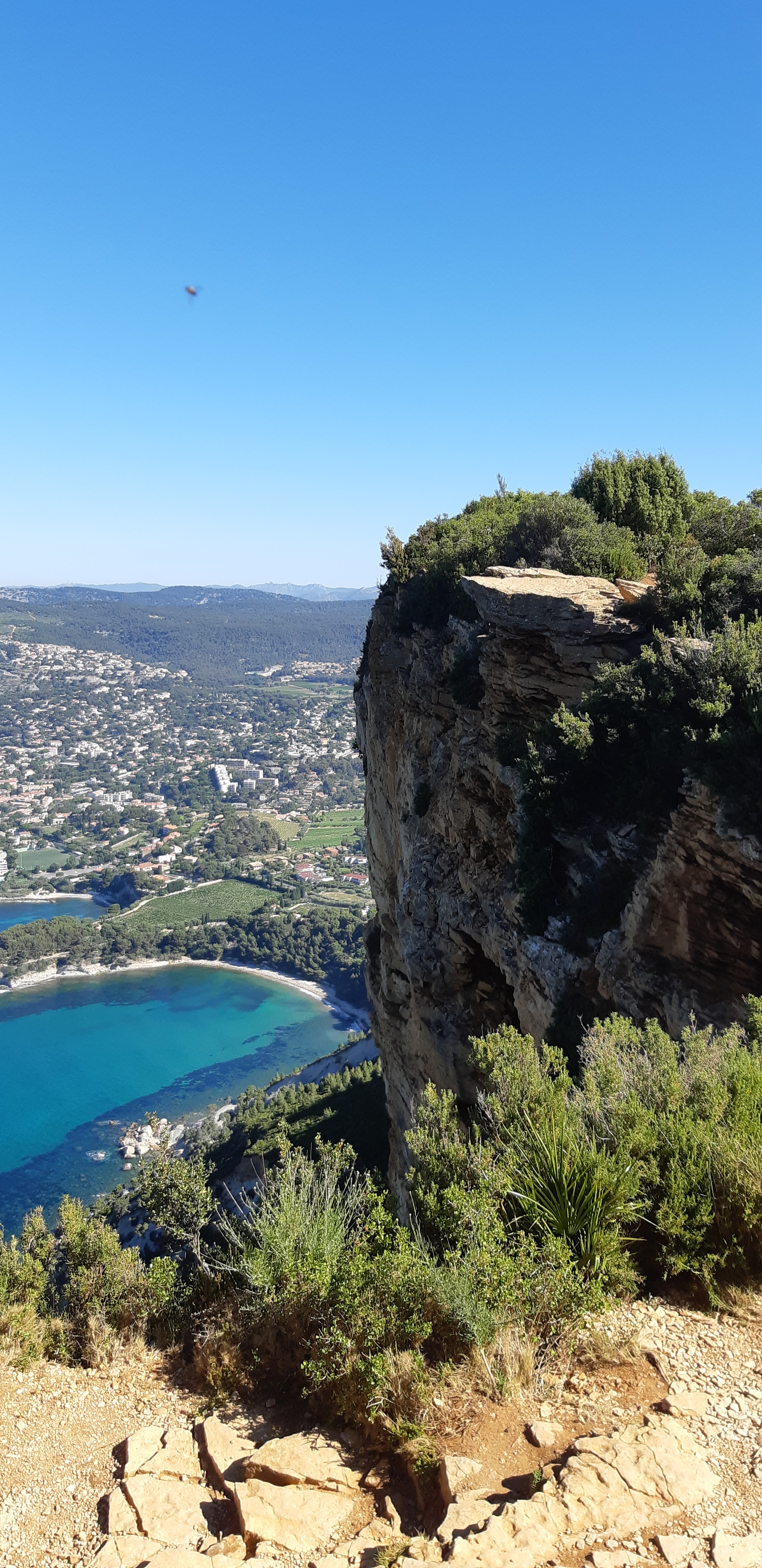 Photo n° 2 de l'avis de Sandrine.a fait le 19/06/2019 à 07:20