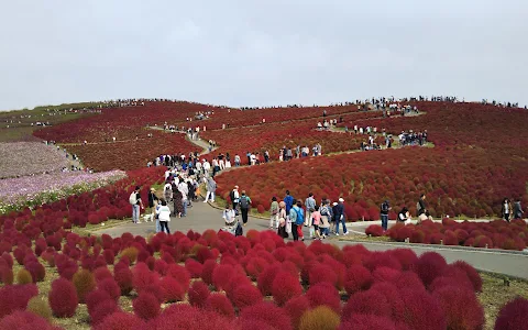 Miharashi Hiroba (Miharashi Plaza) image