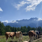 Photo n°4 de l'avis de Monia.u fait le 21/08/2021 à 13:59 sur le  Baita Ciocomiti - Malga Vigo à Piana delle Malghette