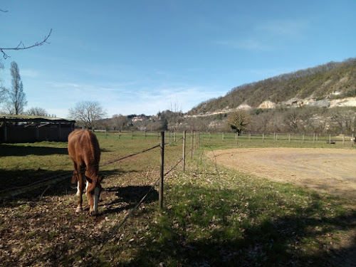 Centre équestre Ladhuie Équitation Montayral