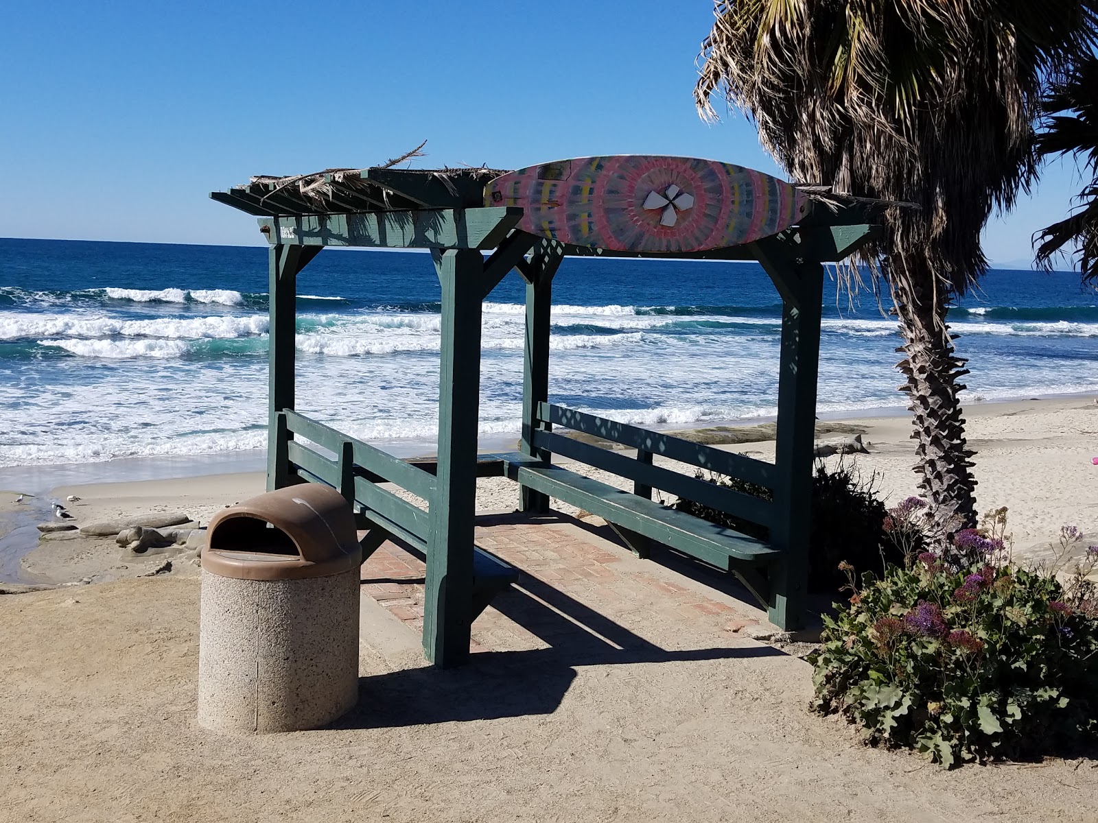 La Jolla Tide Pools beach on the map with photos and reviews🏖️