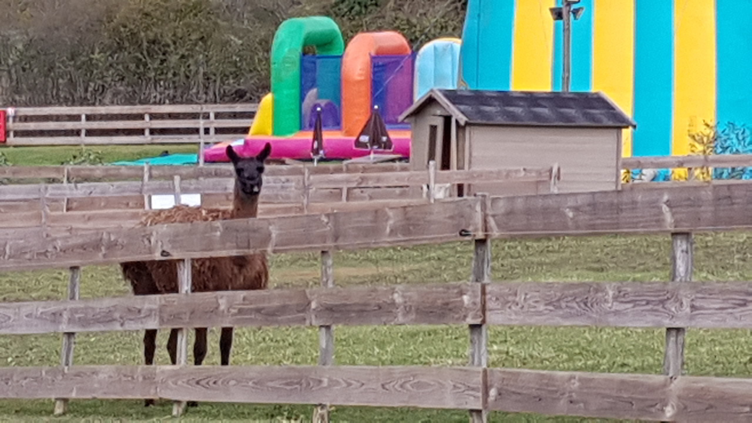 Photo n° 13 de l'avis de stefan.e fait le 15/05/2018 à 22:38