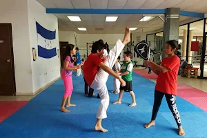 Honduras Idols Taekwondo image