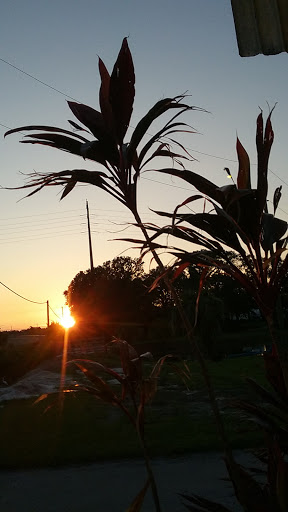 Campground «Seven Springs Travel Park», reviews and photos, 8039 Old Co Rd 54, New Port Richey, FL 34653, USA