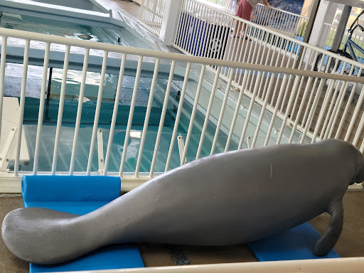 Aquarium «Clearwater Marine Aquarium», reviews and photos, 249 Windward Passage, Clearwater, FL 33767, USA