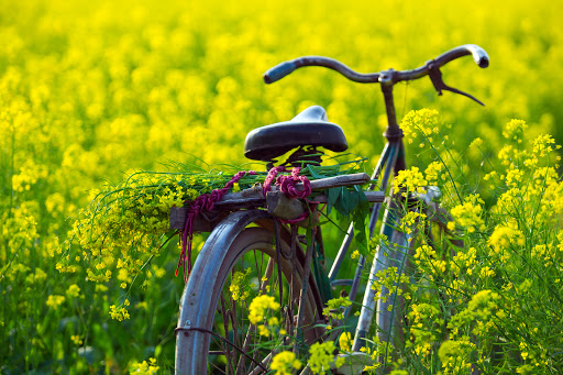 Day Care Center «caterpillar care ®», reviews and photos, 1001 N Milwaukee Ave, Chicago, IL 60642, USA