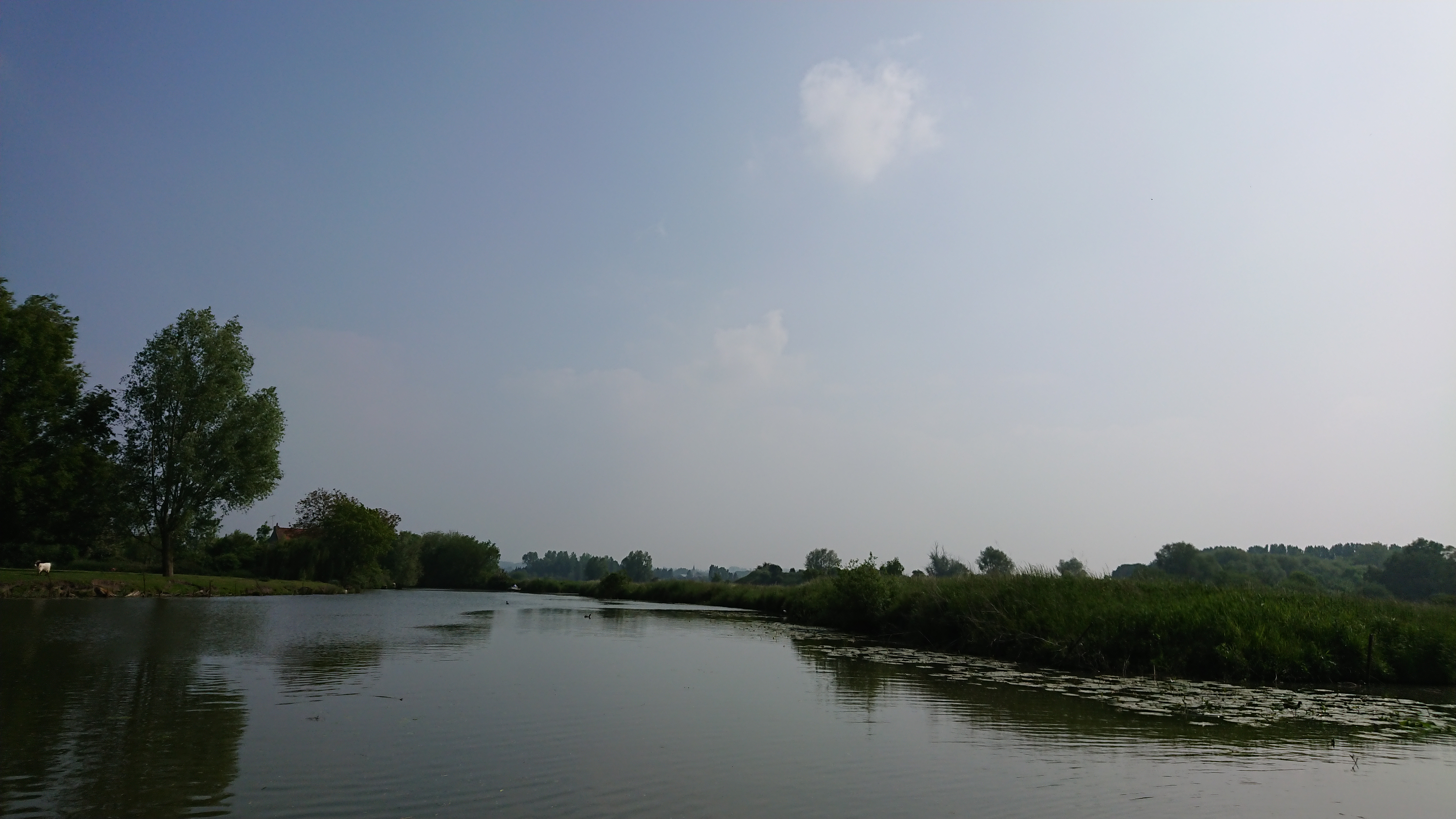 Photo n° 37 de l'avis de Perso.e fait le 20/05/2018 à 16:43