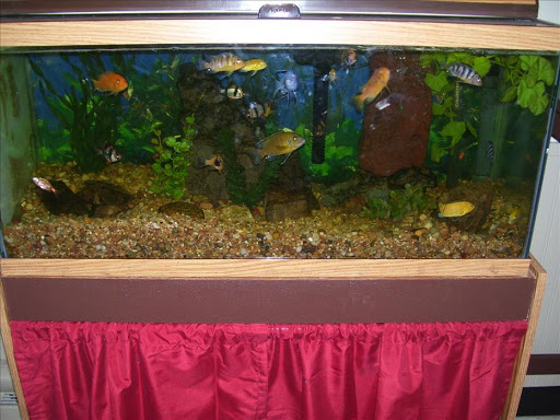 Day Care Center «Eagan North KinderCare», reviews and photos, 1101 Town Centre Dr, Eagan, MN 55123, USA