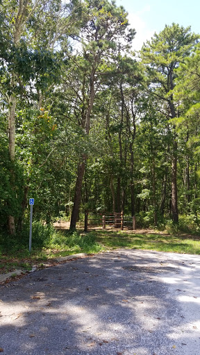 Nature Preserve «Edwin B. Forsythe National Wildlife Refuge- deCamp Wildlife Trail», reviews and photos, 365 Mantoloking Rd, Brick, NJ 08723, USA