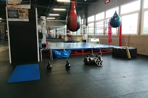 Landowski Boxing School image
