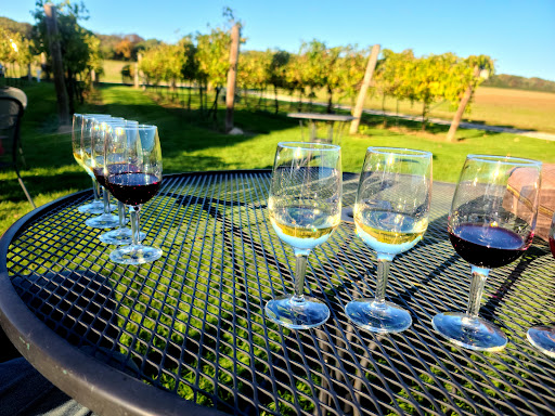 Winery «Staller Estate Winery», reviews and photos, W8896 County Rd A, Delavan, WI 53115, USA